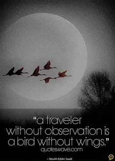 saadi shirazi observation quotes more quotes poems picture quotes ...