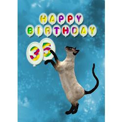 35th_birthday_card_with_a_cat_greeting_card.jpg?height=250&width=250 ...