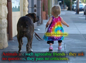 Animals are such agreeable friends – they ask no questions, they ...