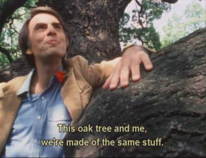 television carl sagan science Cosmos 70's oak tree aweonme