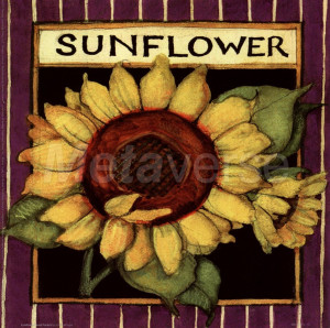 Sunflower Seed Packet by Susan Winget art print