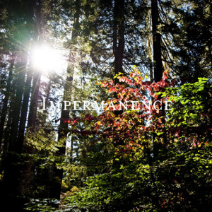 love Mary, the beloved friend of God who in Islam stands at the ...