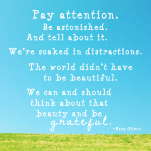 was reminded of this wonderful Mary Oliver quote by my blog friend ...