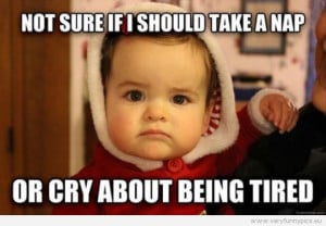 Funny Pictures - Not sure if i should take a nap or cry about being ...