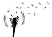 Dandelions Blowing In The Wind Clip Art Blow-dandelion - clipart