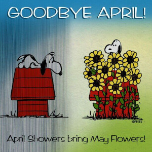 Goodbye April! No May flowers from April showers this year