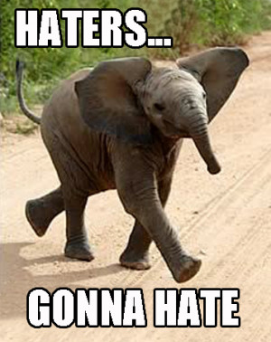 haters gonna hate elephant tags hate haters memes meme gonna haters ...