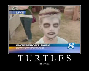 like Turtles