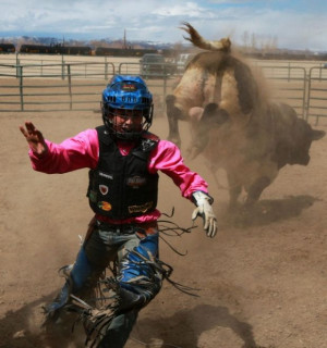 Bull Rider Quotes Mini bull riding