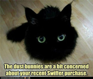 The dust bunnies are a bit concerned about your recent Swiffer ...