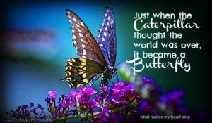Just when the caterpillar thought life was over it became a butterfly ...