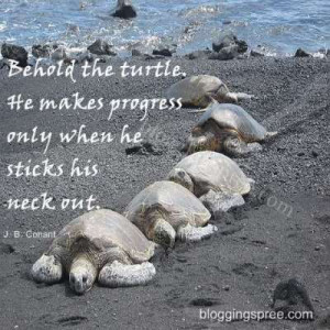 11. Behold the turtle. He makes progress only when he sticks his neck ...