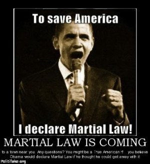 OBAMA'S BRUTAL MARTIAL LAW COMING IN 2014 - A PREVIEW