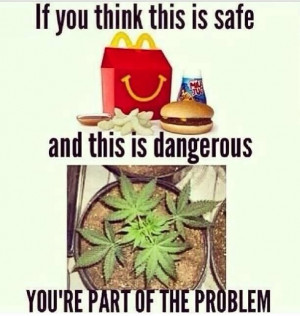 Pinned by Cannabinoid