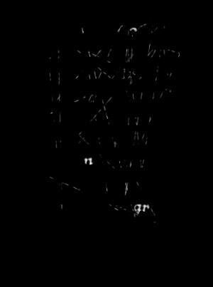 Funny Quotes Stephen Hawking On Global Warming Picture 960 X 600 114 ...