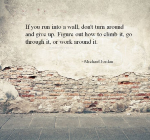 If you run into a wall, don't turn around and give up. Figure out how ...