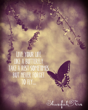 live your life like a butterfly take a rest sometimes but never forget ...
