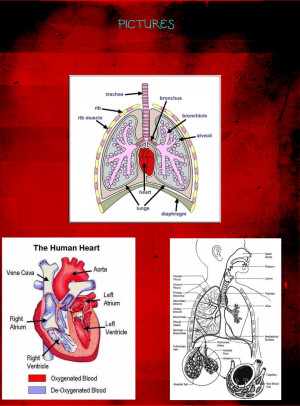 Tattoo Tim Burton Quote Touching Woeful Witty Picture