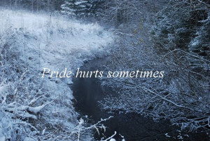 Quote About Ego 7: Pride hurts sometimes.