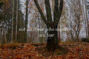 lord of the rings, lost, lotr, quote, saying, text, tolkien, tree ...