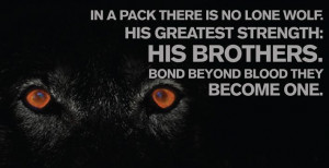 lone wolf quotes about strength