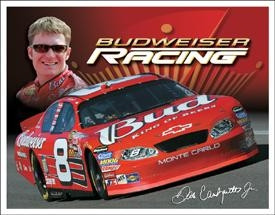dale earnhardt jr budweiser racing 2005