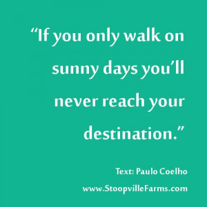 walk daily towards your mission