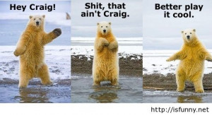 Funny dancing polar bear pic