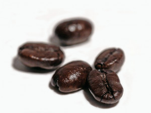 kona coffee bean kona coffee beans are grown in hawaii and are one of ...