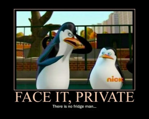 Face-it-Private-_-penguins-of-madagascar-31939194-500-400.jpg