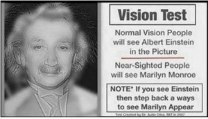 marilyn monroe and albert einstein test your vision