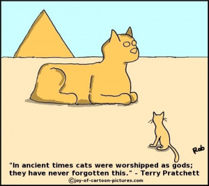 Cats innate sense of their own superiority feature in these cartoons.