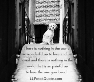 ... sad love quotes - goodbye quote - death quotes - sad lonely dog image