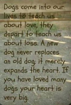 Dogs Quotes, Dogs Poems, Old Dogs, Life Lessons, So True, Big Heart ...