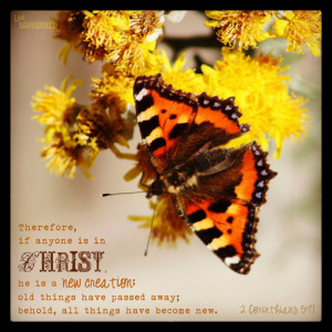 New Creation [Bible Verse Quote Art]