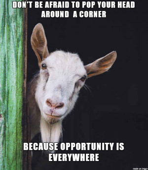 Goats & Quotes