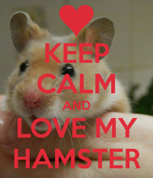 Keep Calm I Love My Hamster