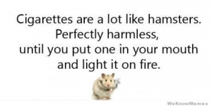 Cigarettes are a lot like hamsters. Perfectly harmless, until you put ...