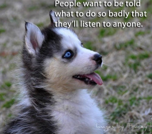 15 Photos of Puppies with Don Draper Quotes is Advertising Gold!
