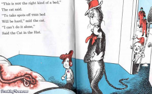 The text is original from The Cat in the Hat Comes Back by Dr. Seuss.