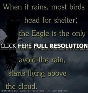 amazing, quotes, sayings, rain, birds, eagle, flying