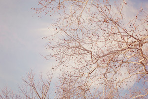 Biggest Heart Quotes