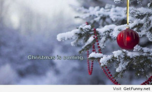 funny christmas, funny jokes, funny quotes, funny sayings and quotes ...