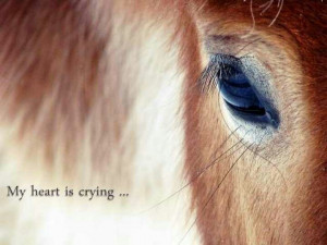 My heart is crying....