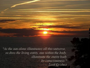 as the sun alone illuminates all this universe so does the living ...