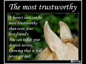 Horsey pics with quotes