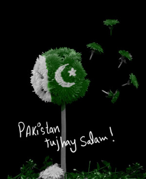 PakistanHappy Independence Day