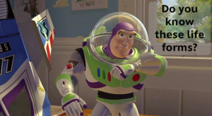 Buzz Lightyear Quote for Every Situation