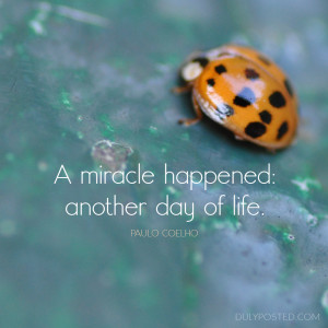miracle happened another day of life, quote by Paulo Coelho