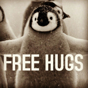 Cute Penguin Hug Cute ♡ #penguin #hugs #